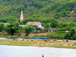 A Vietnamese Countryside