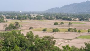 A Vietnamese Landscape