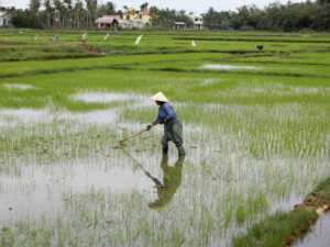 Nha Trang Private Tour